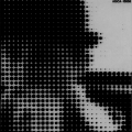 'Pulse' cover